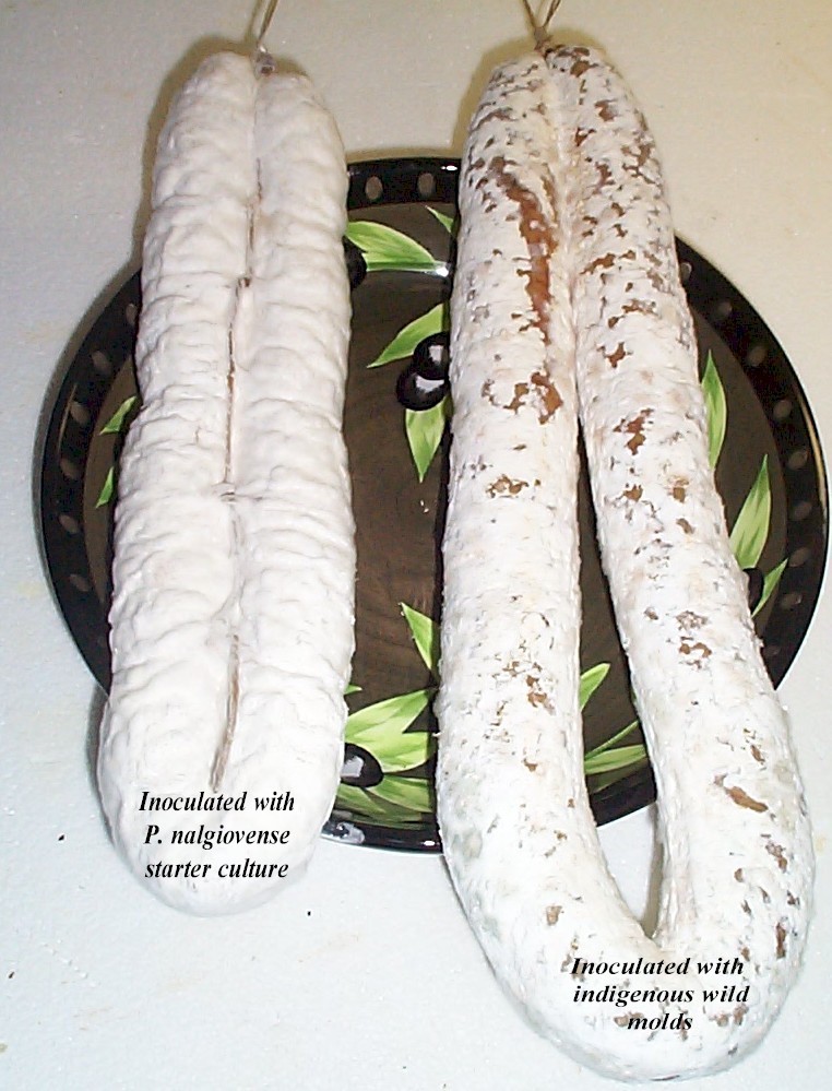 Sausage Making Basic Information